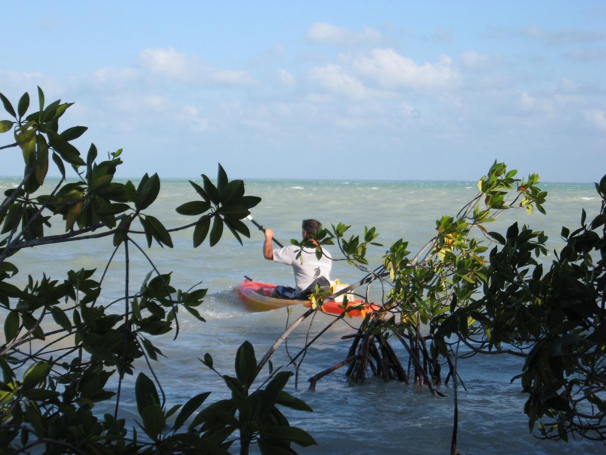 Serenity Sands Bed and Breakfast Corozal Town Esterno foto